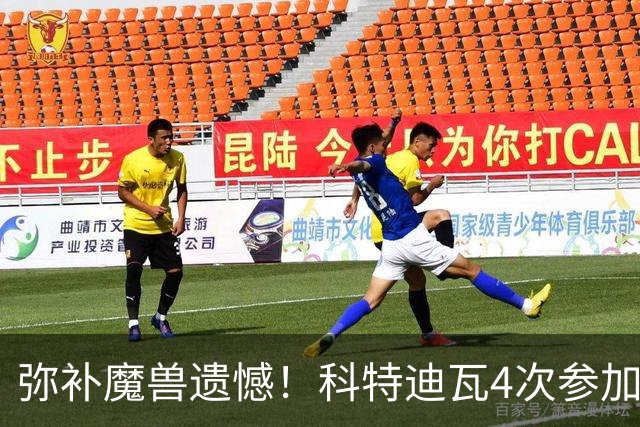 弥补魔兽遗憾！科特迪瓦4次参加世界杯 本届终迎淘汰赛